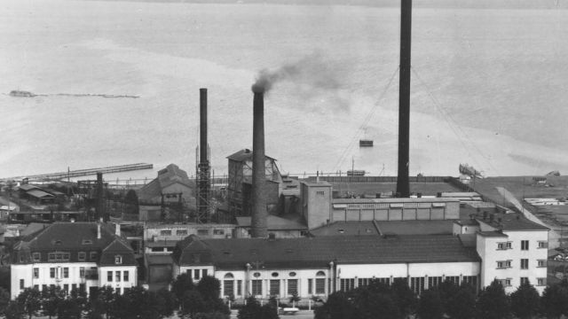 Image of Muuseumiöö ühisprogramm