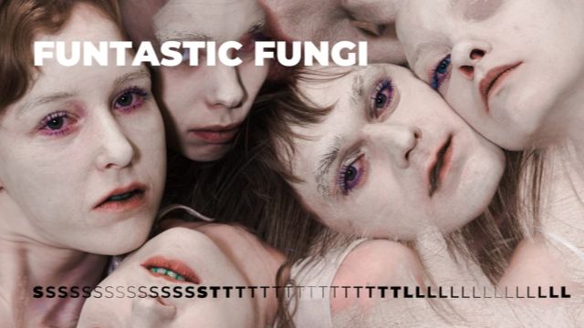 Image of Värske Kraam Viljandist - Getriin Kotsar "funtastic fungi"