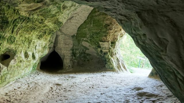 Image of Helme koopad