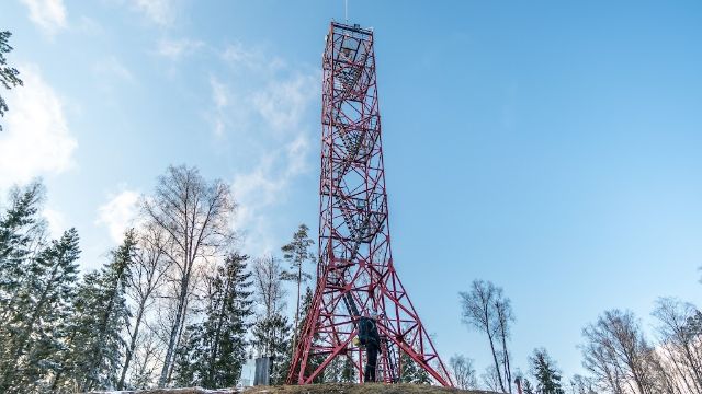 Image of Valgehobusemäe vaatetorn