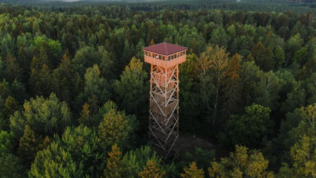 Image of Iisaku (Tärivere) mäe vaatetorn, puhkekoht ja maastikukaitseala